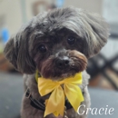 Pawsitively Chic Pet Salon - Pet Grooming
