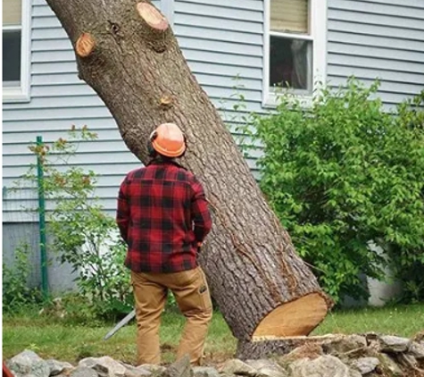 RICHMOND VALLEY TREE SERVICES - Casino, NSW