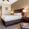 Comfort Inn & Suites gallery