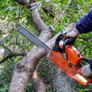 Francis Tree Service - Tree Service