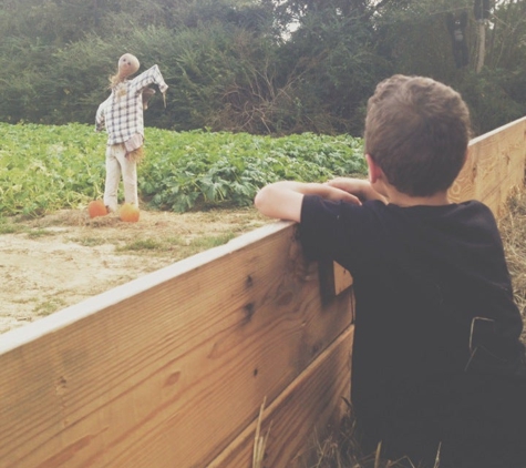 Mark's Melon Patch - Dawson, GA