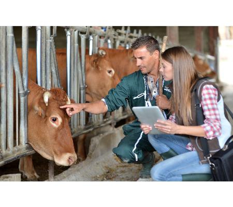 Warwick Town & Country Vets - Warwick, QLD