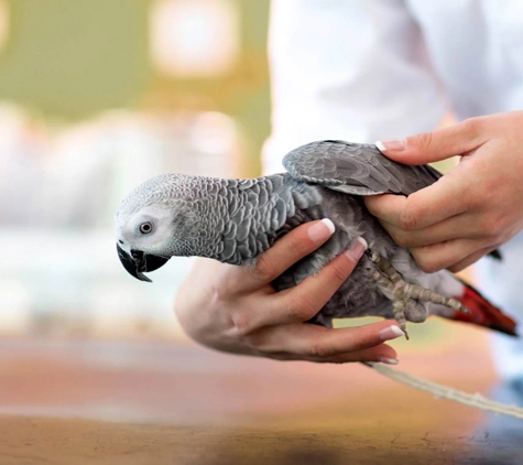 Wetherill Park Vet Clinic - Wetherill Park, NSW