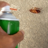 Gilmer Termite & Pest Control gallery