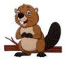 Beaver Run Lumber - Woodworking Equipment & Supplies