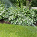 Capitol Lawn Sprinkler Inc - Sprinklers-Garden & Lawn, Installation & Service