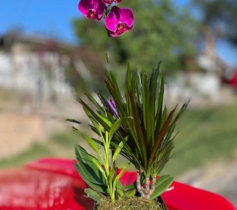 The Hospice of San Diego - Poway, CA