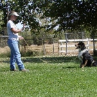 Don O'Brien Boarding & Training Kennel