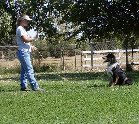 Don O'Brien Boarding & Training Kennel