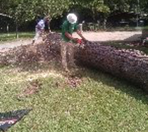 Allen's Tree Service, LLC - Eastman, GA