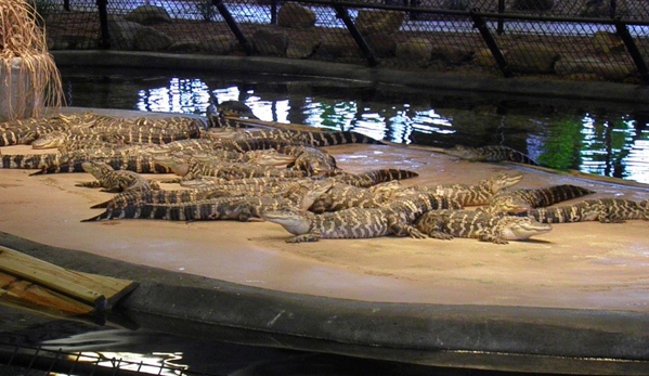 Reptile Lagoon - Hamer, SC