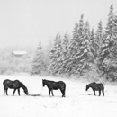 Vermont Artisan Designs - Art Galleries, Dealers & Consultants