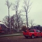 Dependable Tree Service, Inc