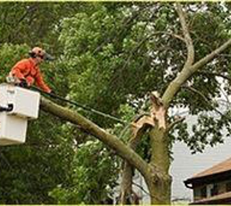 Arbor Tech Tree Care