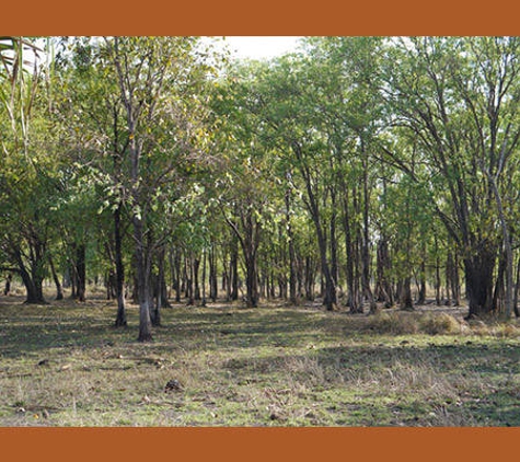 Roper Gulf Regional Council - Barunga, NT