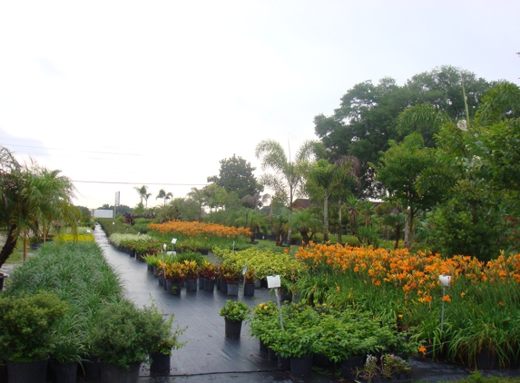 Infanate Services Inc. - Odessa, FL. Odessa Landscape Nursery