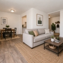 The Marylander Apartment Homes - Apartments