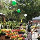 Green Thumb Nursery & Landscaping