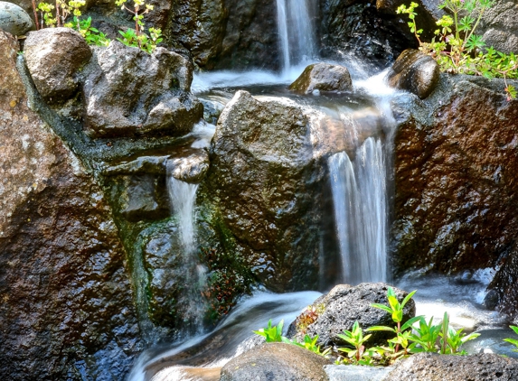 Pacific Pond & Waterfall - Martinez, CA