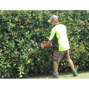 Jindalee Property Service - Edgeworth, NSW