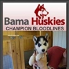 Bama Huskies gallery