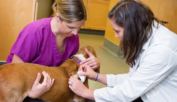 Indian Tree Animal Hospital - Arvada, CO