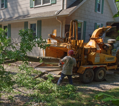 Omni Tree Service, Inc. - Ballwin, MO