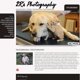 Got Pictures Web Design