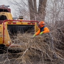 Joe Benigno's Tree Service - Arborists