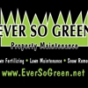 Ever So Green LLC gallery