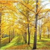 McQuaid Agency gallery
