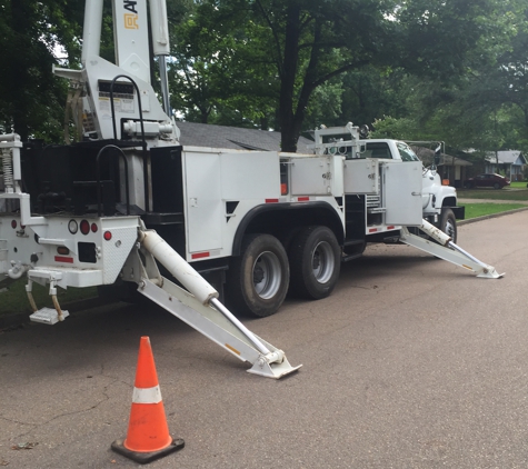 Mid State Tree Service - Pearl, MS