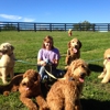 Twin Lakes Kennel, LLC gallery