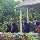 DAJA Travel