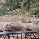 Story’s Land Management