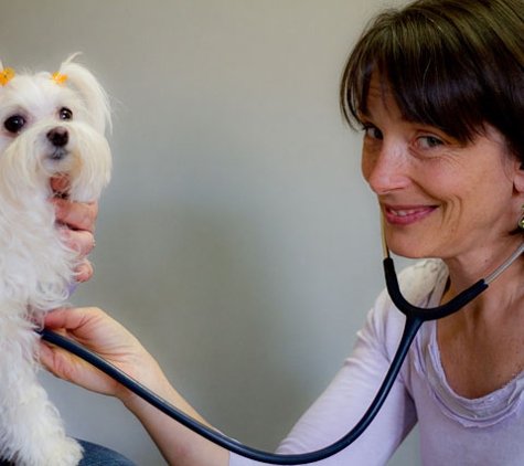 Sunvet Animal Wellness Clinic - Asheville, NC