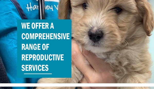 Hartley Valley Vets - Little Hartley, NSW. We Offer A Comprehensive Range Of Reproductive Services