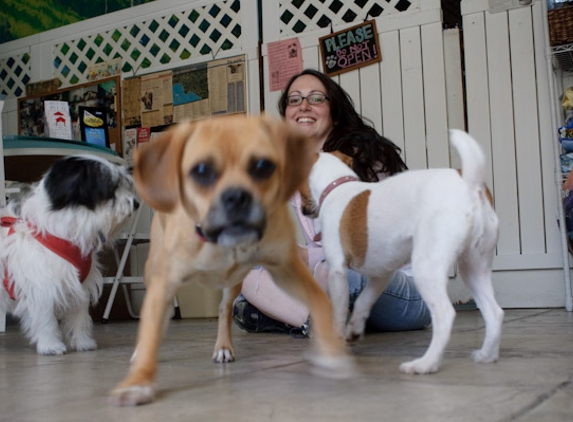 The Dog House L.A. - Los Angeles, CA