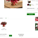 Hummingbird Forest - Flowers, Plants & Trees-Silk, Dried, Etc.-Retail