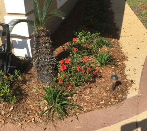 Tony's Lawn and Landscaping - Panama City, FL