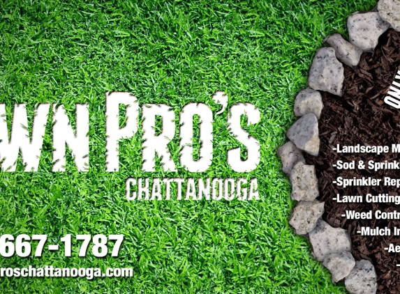 Lawn Pros of Chattanooga - Chattanooga, TN