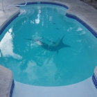 Key Largo Pool Service