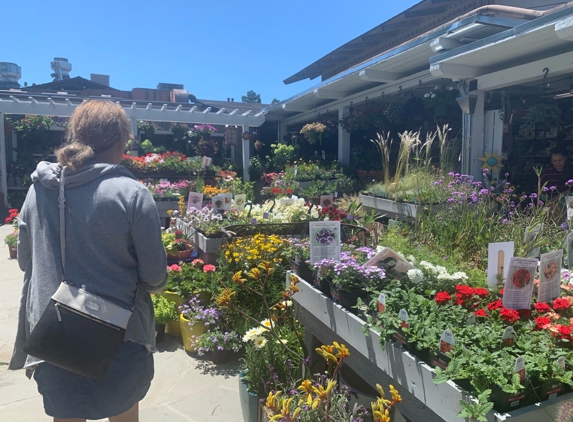 Ladera Garden and Gift At Carlmont - Belmont, CA