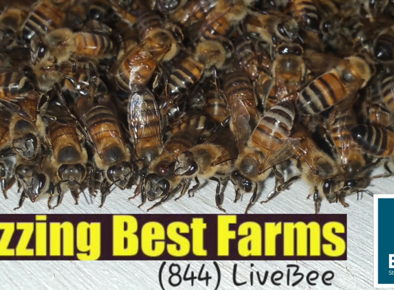 Buzzing Best Farms - Tucson, AZ