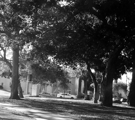 Benny H. Potter West Adams Avenues Memorial Park - Los Angeles, CA