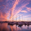 Vintage Marina gallery