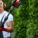 Luceros Landscaping & Tree Services - Tree Service