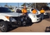 Pirie Pest Control - Pest Control Services