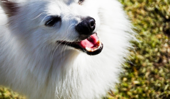 Topanga Pet Resort - Topanga, CA