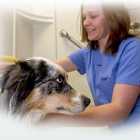 VCA Vaughn Road Animal Hospital